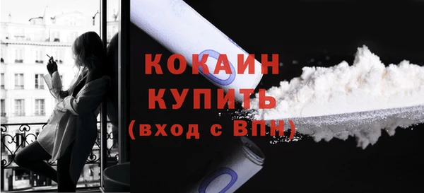 кокс Алексин